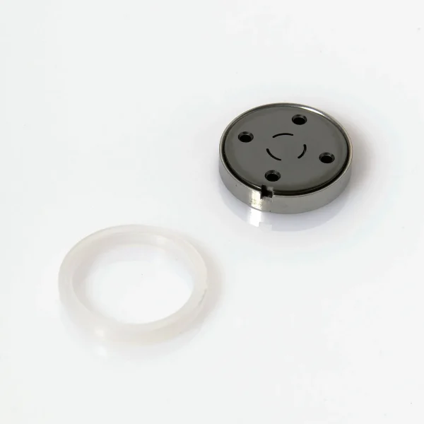 Injection Valve Rotor Seal