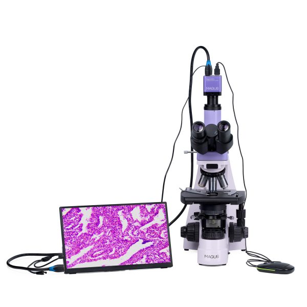 MAGUS Bio D250TL LCD - Image 4