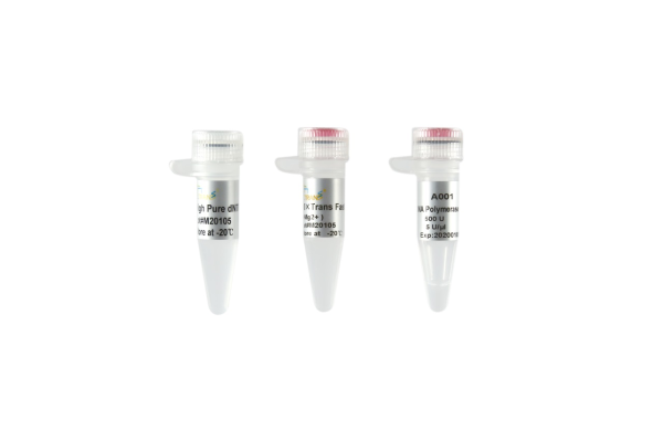 TransFast Taq DNA Polymerase(with 2.5 mM dNTPs)