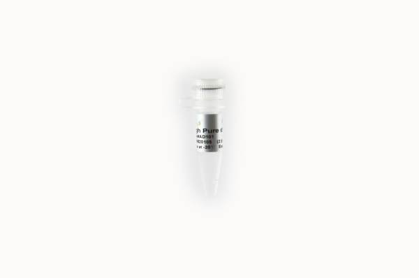 High Pure dNTPs (10 mM)