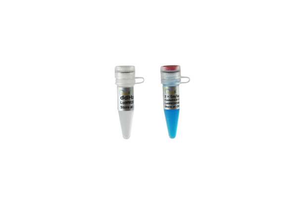 2?EasyTaq PCR SuperMix (+dye )