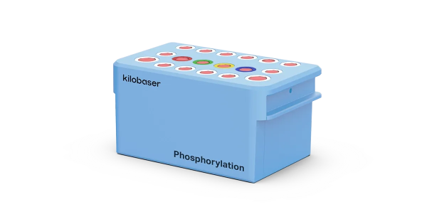 Phosphorylation - Cartridge