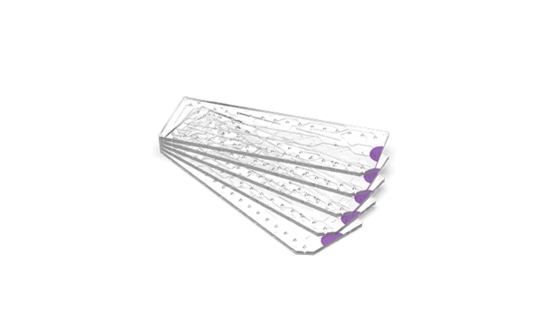 BHQ-1 Quencher - Chip