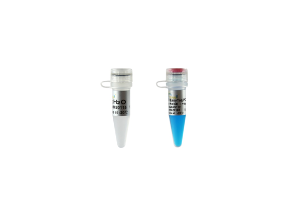 2?EasyTaq PCR SuperMix for PAGE (+dye)
