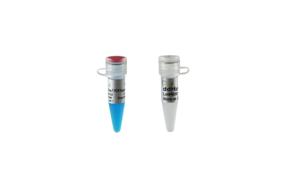 2?TransTaq?-T PCR SuperMix (+dye)