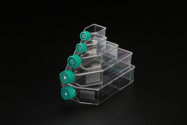 Cell Culture Flasks---225 square centimeter